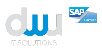 DWU IT Solutions
